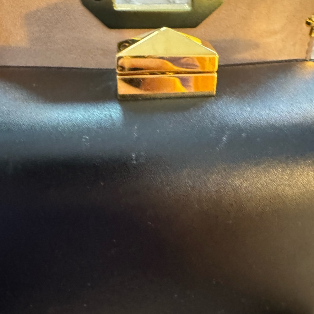 Alexander McQueen Black Crossbody with Gold Details - Picture 10 of 16